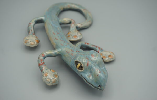 Gecko 1